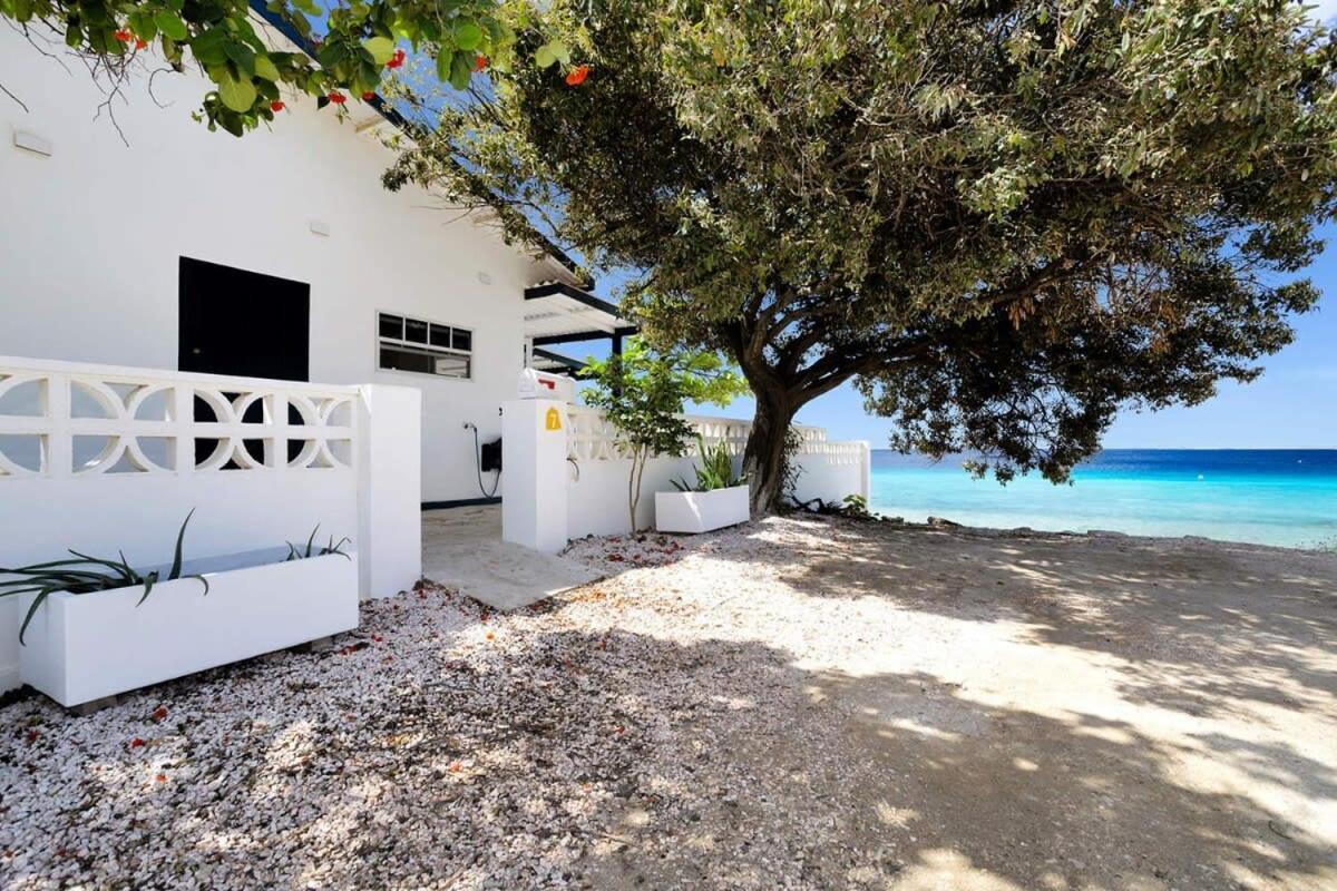 Pixel Paradise Oceanfront Villa With Stunning Views Kralendijk na wyspie Bonaire Zewnętrze zdjęcie