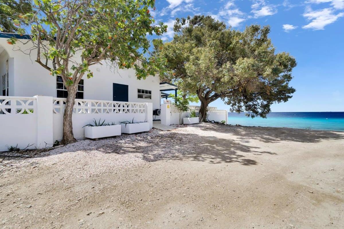 Pixel Paradise Oceanfront Villa With Stunning Views Kralendijk na wyspie Bonaire Zewnętrze zdjęcie